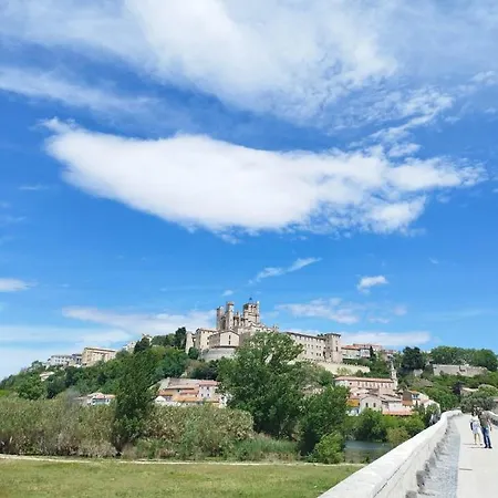 A Cote Du Musee Taurin Et A 2 Mn De La Cathedrale Béziers